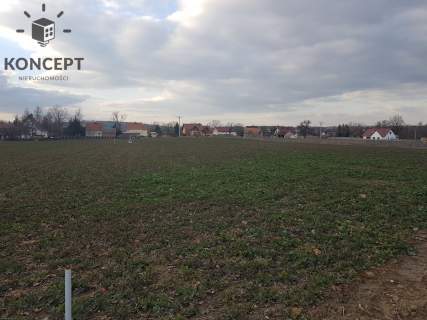 Działka budowlana w Piotrowicach na sprzedaż