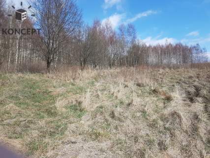 Ptaszków -działka na sprzedaż.