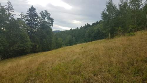 Działka na sprzedaż.