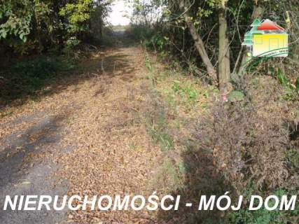 Działka budowlana na sprzedaż, 1408 m2, Kowiesy