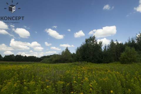 Działka budowlana - gm. Jelcz-Laskowice