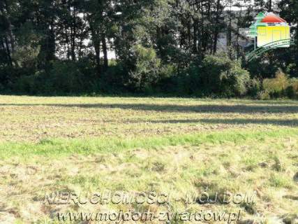 Działka inwestycyjna na sprzedaż, 10000 m2, Mszczonów