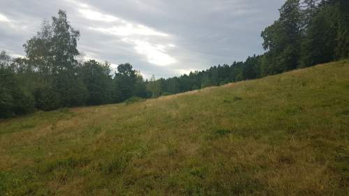 Działka na sprzedaż.