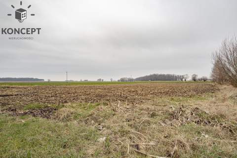 Dom wolnostojący, działka 6400 m2, budynek gospodarczy