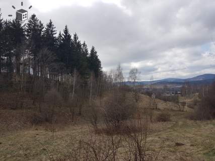 Ptaszków -działka na sprzedaż.