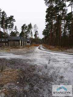 Dziwnów działka w lesie sosnowym