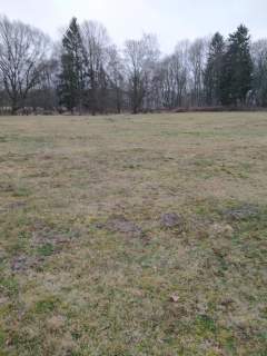 Rzędziny,2041m2,zabuowa jednorodzinna,las,park