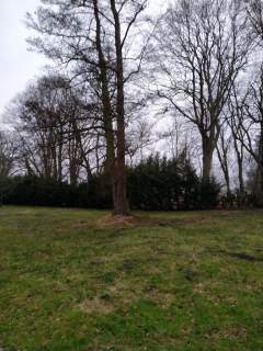 Rzędziny,2041m2,zabuowa jednorodzinna,las,park