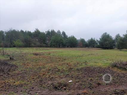 Działka w Goszczanowcu - 29 zł/m2