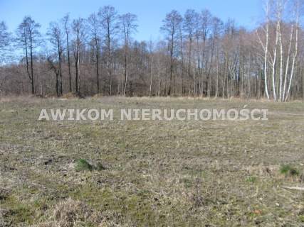 Działka budowlana na sprzedaż, 4100 m2, Władków