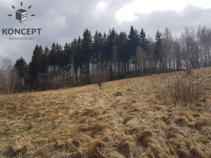 Ptaszków -działka na sprzedaż.