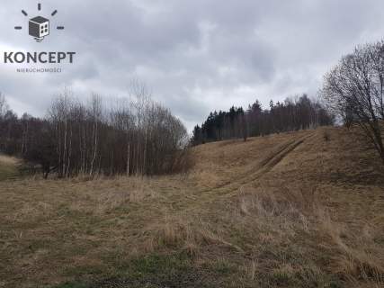 Ptaszków -działka na sprzedaż.