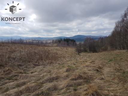 Ptaszków -działka na sprzedaż.