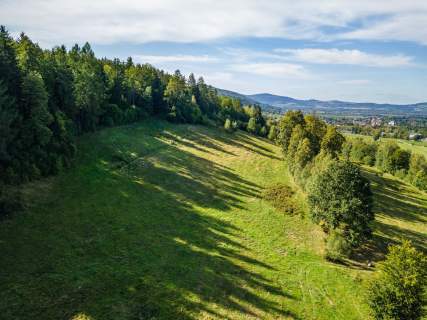 Działka na sprzedaż.