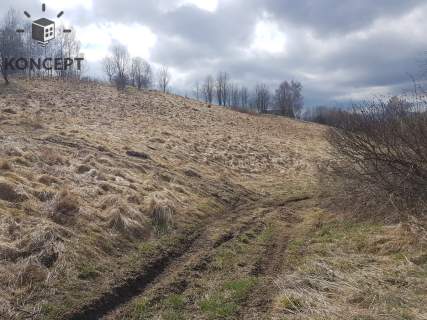 Ptaszków -działka na sprzedaż.