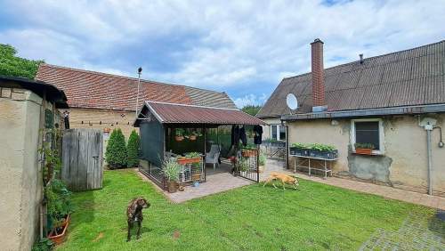 Gospodarstwo, działka 9300m2, Dom 91 m2 budynki