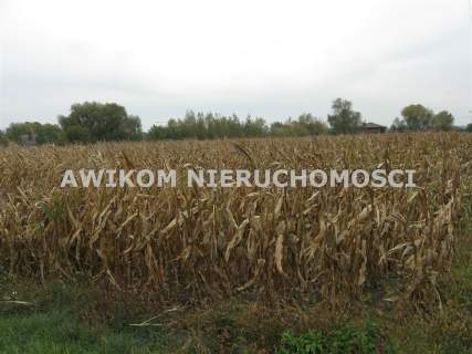 Działka budowlana na sprzedaż, 3000 m2, Kłudno Nowe