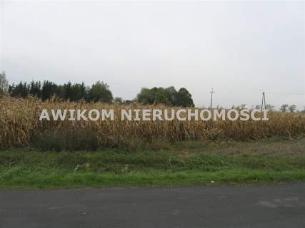 Działka budowlana na sprzedaż, 3000 m2, Kłudno Nowe