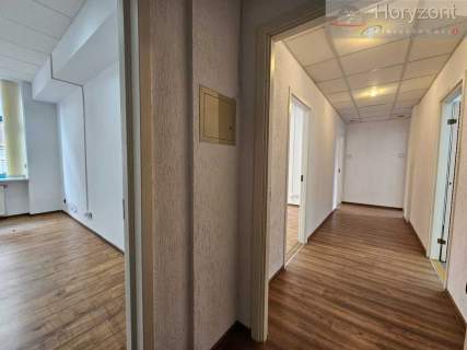 Biurowiec w Centrum 270m2 11pok. - 30zł/1m2