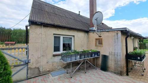 Gospodarstwo, działka 9300m2, Dom 91 m2 budynki