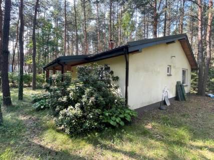 Murowany dom letniskowy w lesie 30 min.od Warszawy