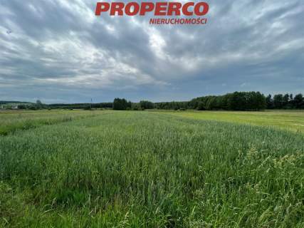 Działka 5940 m2, Łukowa, gm. Chęciny