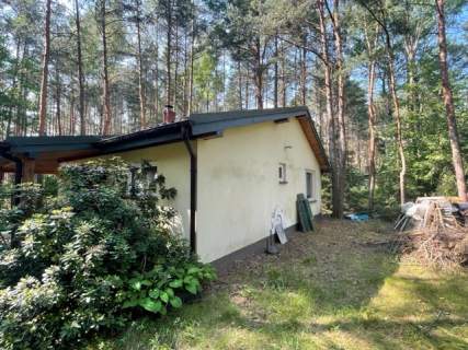 Murowany dom letniskowy w lesie 30 min.od Warszawy