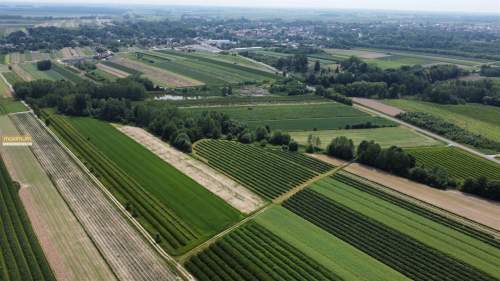Gospodarstwo rolne 3,16 ha sprzedaż Tarnogród