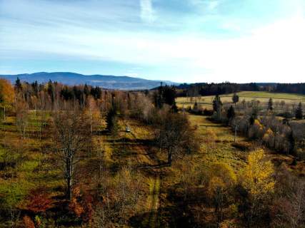 Kolonia Lesica z częścią pod zabudowę