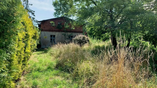 Działka przy Pałacu w Rybnej 