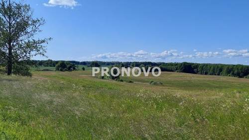 atrakcyjna działka rolna-agroturystyka Stara Studn