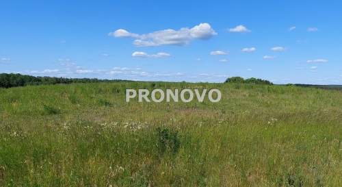 atrakcyjna działka rolna-agroturystyka Stara Studn