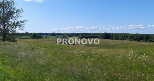 atrakcyjna działka rolna-agroturystyka Stara Studn
