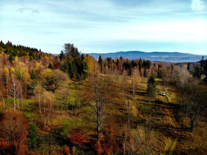 Kolonia Lesica z częścią pod zabudowę