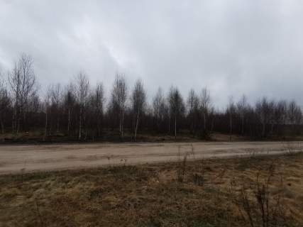 Działka na sprzedaż, 10040 m2, Gręzówka-Kolonia