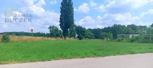 Grunt Stary Dębsk przy trasie 92