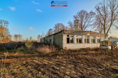 DZIAŁKA Z BUDYNKIEM, NA WYNAJEM, SOKOLNA, TARNÓWKA