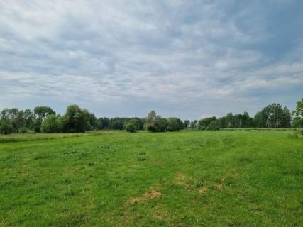 Dzialka rolna 2 ha 20 000 m2 