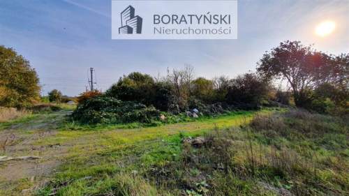 Działka usługowa - Skwierzynka