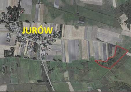 2,59 ha w Jurowie, powiat Tomaszów