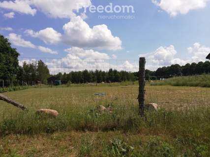 Ładna działka pod lasem