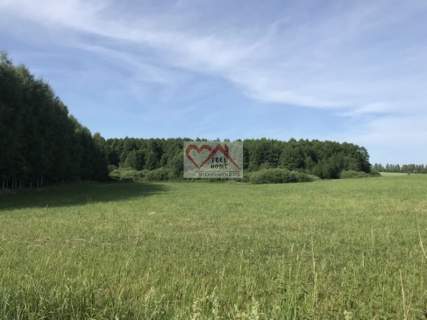 MICHAŁKI - DZIAŁKI Z WARUNKAMI ZABUDOWY NAD JEZIOR