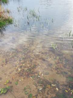 Działka z jeziorem i WZ na 3 domy, 5 km od morza