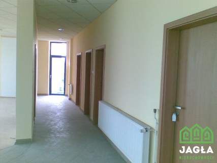 Do wynajęcia powierzchnia biurowa 530m2/ Czyżkówko