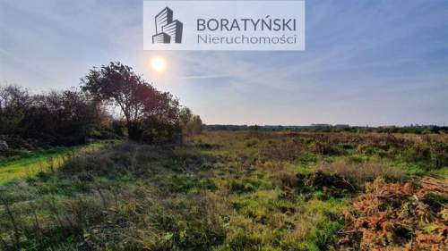 Działka usługowa - Skwierzynka
