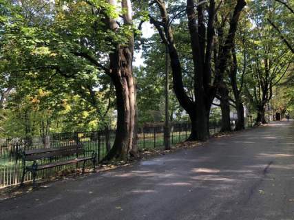 Unikatowa działka na Salwatorze