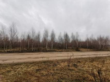 Działka na sprzedaż, 10040 m2, Gręzówka-Kolonia