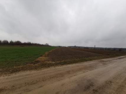 Działka na sprzedaż, 10040 m2, Gręzówka-Kolonia