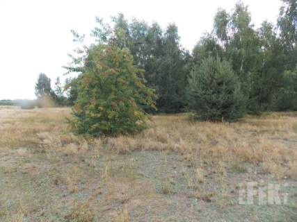 Działka inwestycyjna na sprzedaż, 2670 m2, Grabce-Towarzystwo