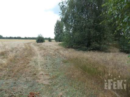 Działka inwestycyjna na sprzedaż, 2670 m2, Grabce-Towarzystwo